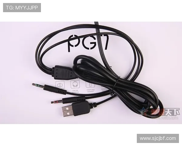 PGSOFT官网官方网站开启全新互动模式，助力玩家深入了解公司发展与创新产品